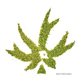 Piece Maker Gear discount code